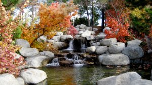 curb appeal tips when selling a home curb appeal tips when selling a home