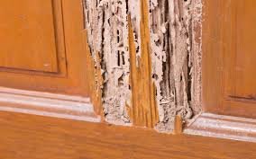how to sell a house with termites in oklahoma city