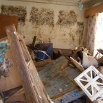 selling a house with mold as-is in houston