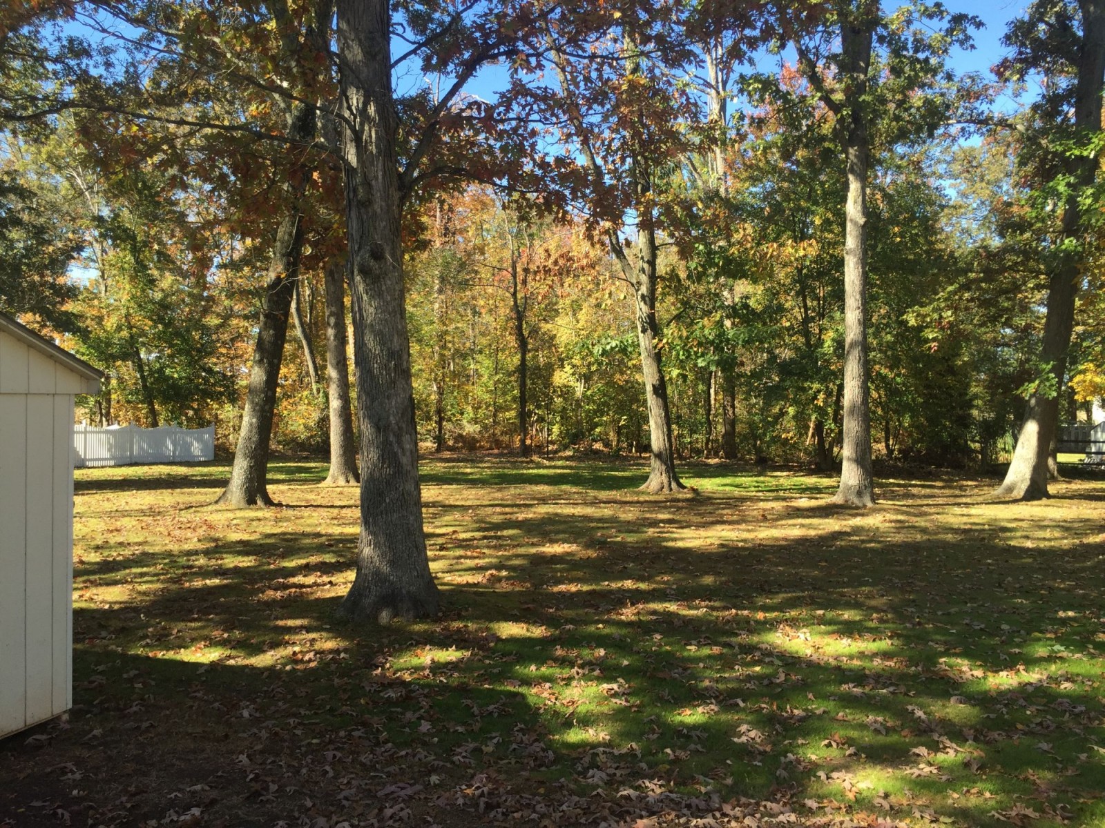 Rent to Own Home Perkasie For Sale Rent to Own