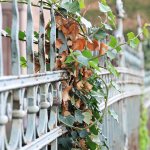 Foreclosed House Fence Image