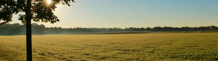 Getting-Your-Land-Ready-For-A-Sale-in-Austin Getting Your Land Ready For A Sale in Austin