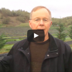 roseburg douglas county farmland