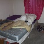 tenant trashed my cincinnati rental