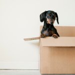tips for moving long distance - Cincinnati relocating