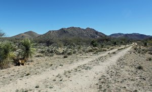 We Buy Land in Diamond Bell Ranch