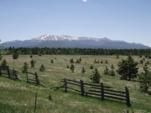 land for sale Nevada