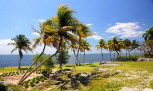 Sell My Inherited House Miami