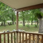 low fence border