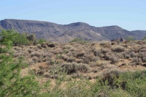 land for sale in Arizona