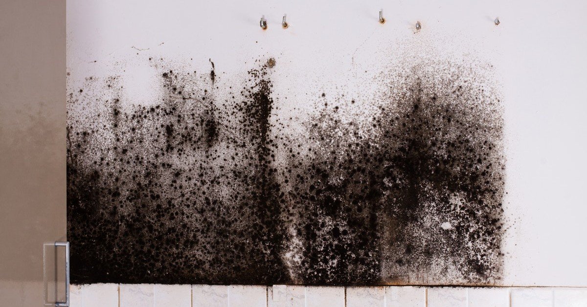 Selling a House with Mold in Houston