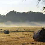 I Need To Sell My Farm Georgia