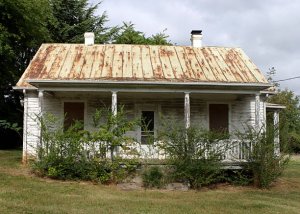 I Need To Sell I Need to Sell This House!