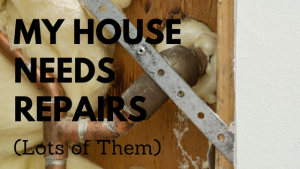 House Needs Repairs