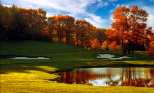 We Buy Houses North Oaks MN! Sell Your North Oaks MN House Fast.
