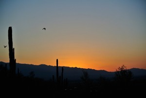 We Buy Houses Tucson Review