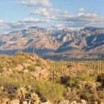 How to sell your Tucson home quickly without hassle!