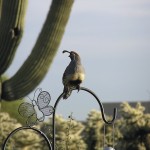 How to sell your home quickly in Tucson