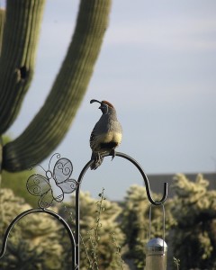 How to sell your home quickly in Tucson