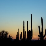 when is the best time to sell a house