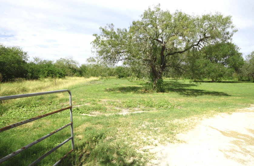 2.2 Acres Orange Grove TX Cash Buyer Site
