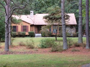 What type of houses do we buy