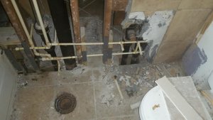 Pre-Reno Bath Wall Open3