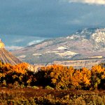 learn how to sell your house quick in colorado springs to an investor