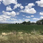 5 Creative Ways To Sell Your Land Online