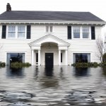 Writing off a catastrophic loss or theft
